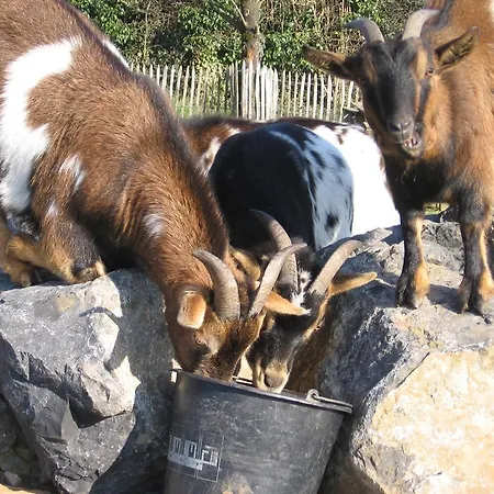 Grunebempt Bed & Breakfast